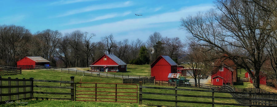 Oxon Hill Farm  Photograph by Kathi Isserman
