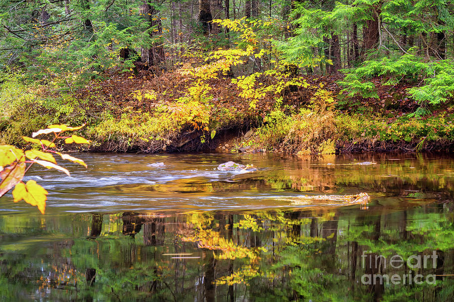 Oxtongue River Autumn Photograph by Charline Xia