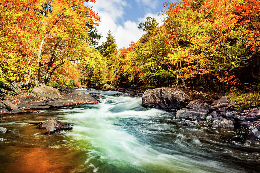 Oxtounge Rapids in Fall Photograph by Manpreet Sokhi
