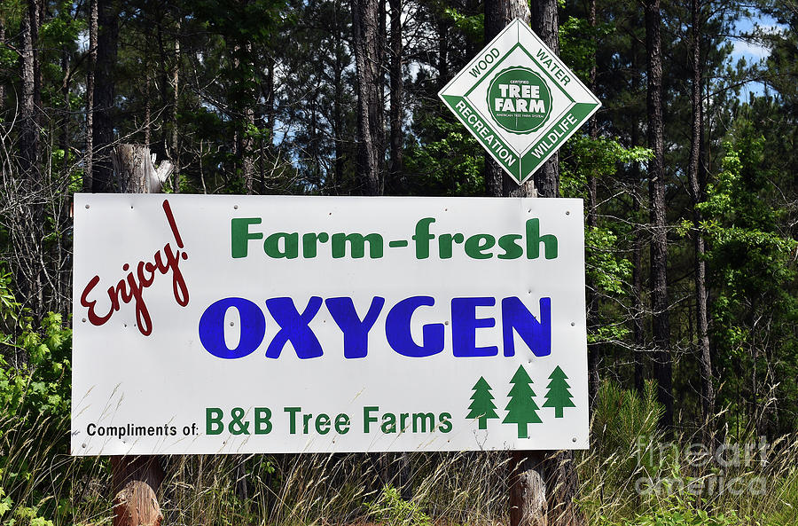 Oxygen Farm Photograph by Skip Willits