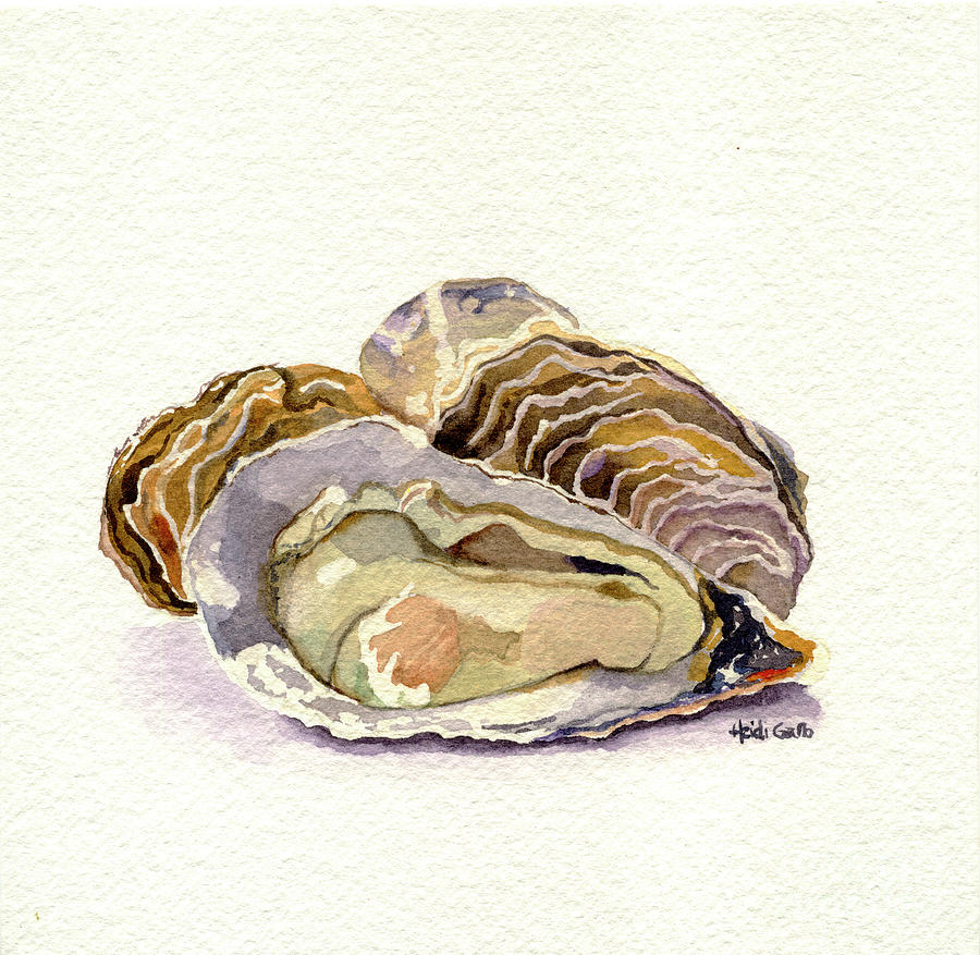 Oysters Painting by Heidi Gallo