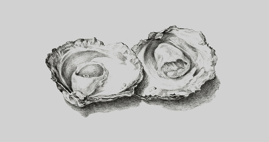 Oysters White Painting by Tony Rubino