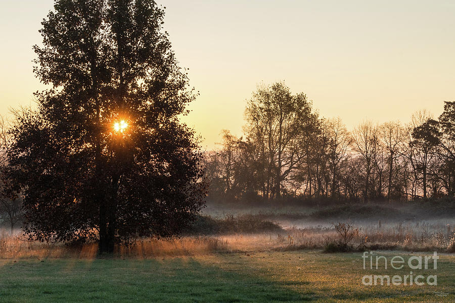 Ozark Missouri Foggy Fall Morning Sunrise Photograph by Jennifer White