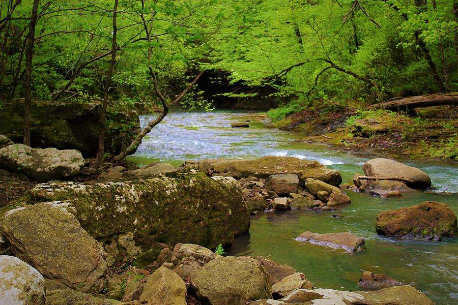 Ozark National Forest #28 Photograph by Richard Lyness - Fine Art America