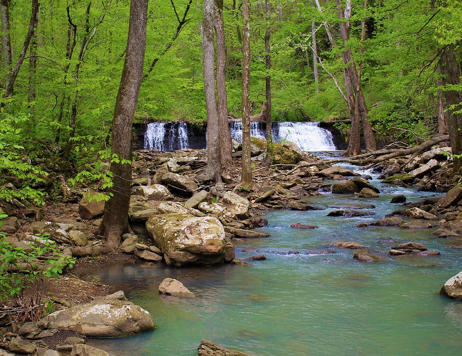 Ozark National Forest #37 Photograph by Richard Lyness - Fine Art America