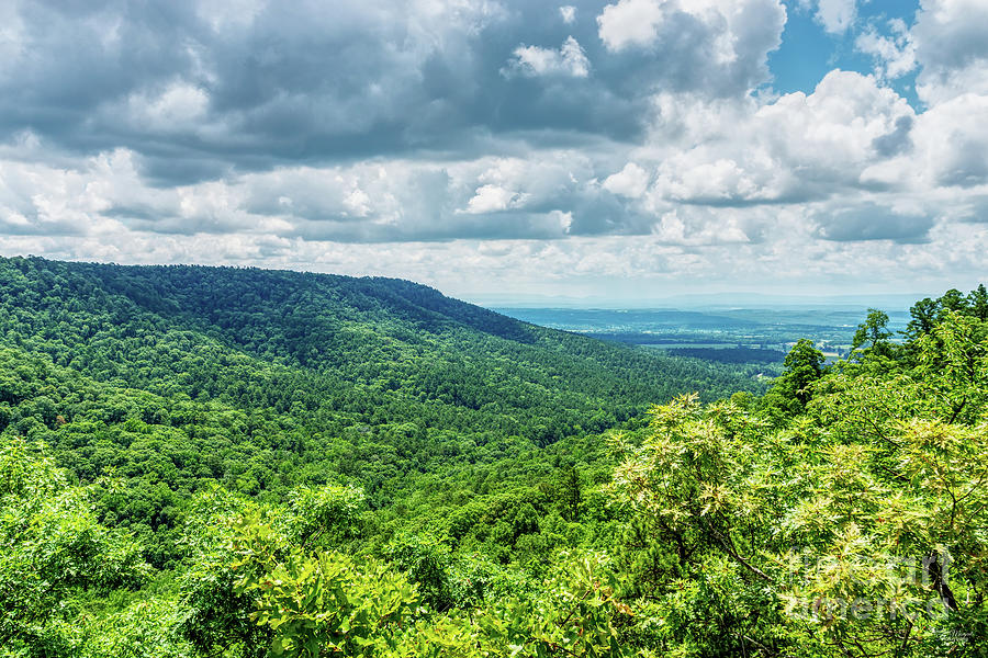 Ozark National Forest Afternoon Overlook Photograph by Jennifer White