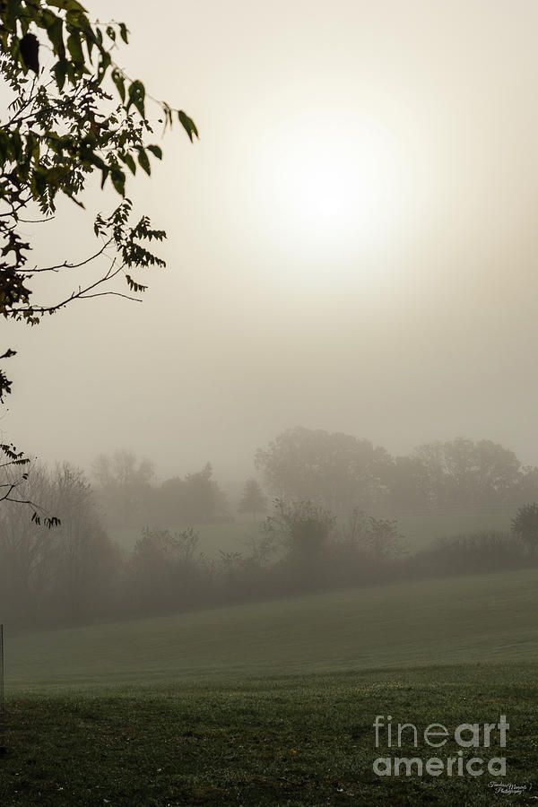 Ozarks Golden Foggy Morning Photograph by Jennifer White