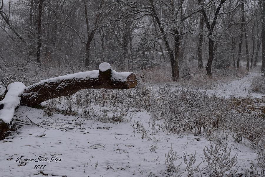Ozarks Snow 10 Photograph by Lawrence Hess