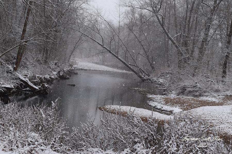 Ozarks Snow 5 Photograph by Lawrence Hess