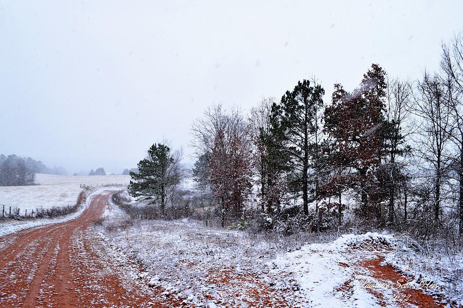 Ozarks Snow 8 Photograph by Lawrence Hess
