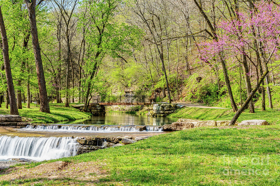 Ozarks Spring Waterfall And Redbud Photograph by Jennifer White