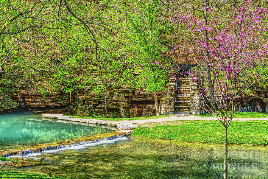 Ozarks Stairs To Spring Photograph by Jennifer White