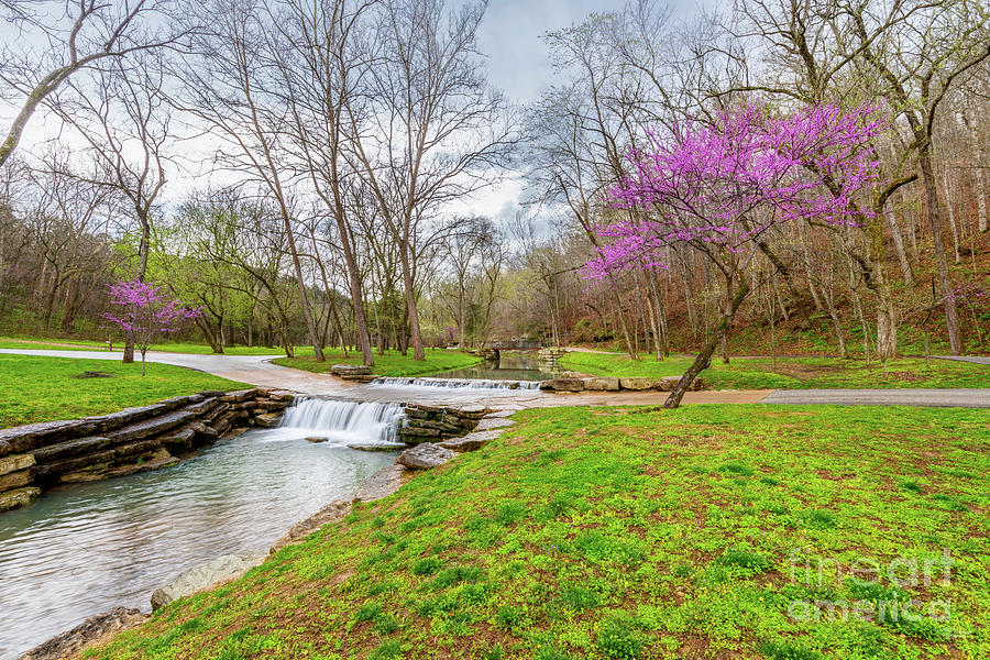 Ozarks Waterfall Spring Landscape Photograph by Jennifer White