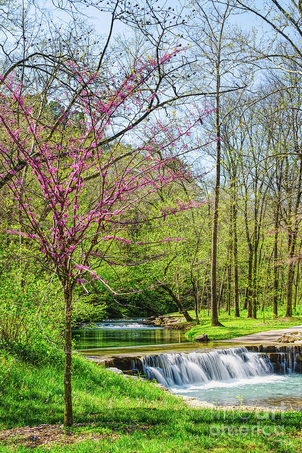 Ozarks Waterfalls In Spring Photograph by Jennifer White