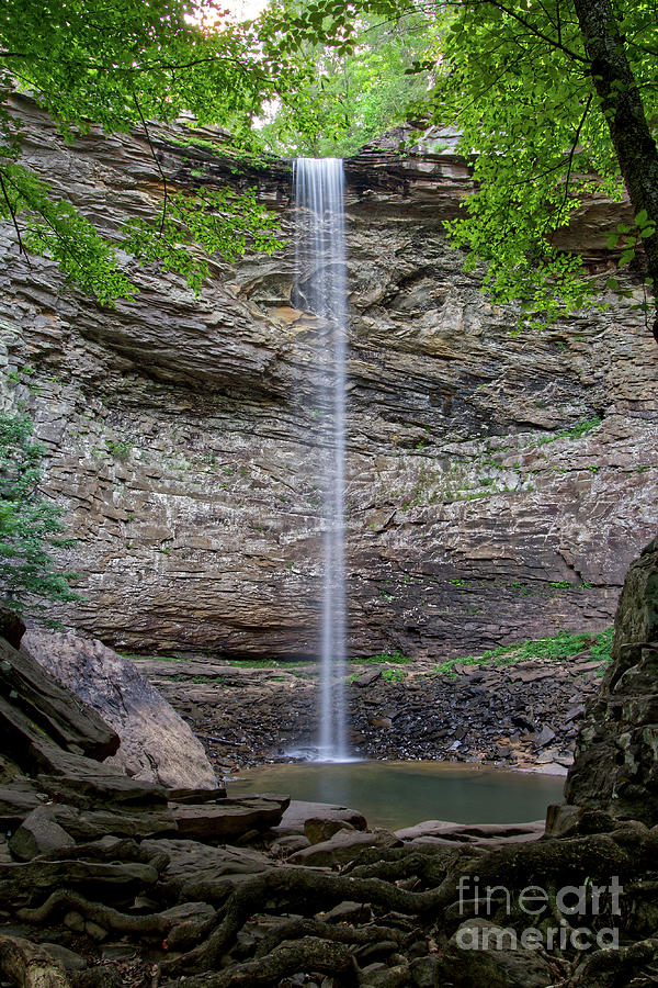 Ozone Falls 27 Photograph by Phil Perkins