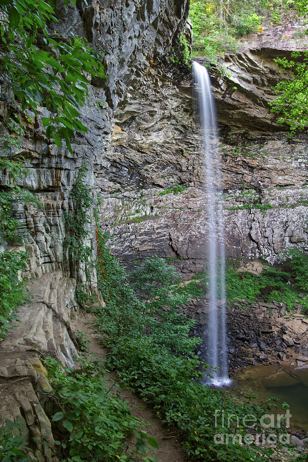Ozone Falls 30 Photograph by Phil Perkins