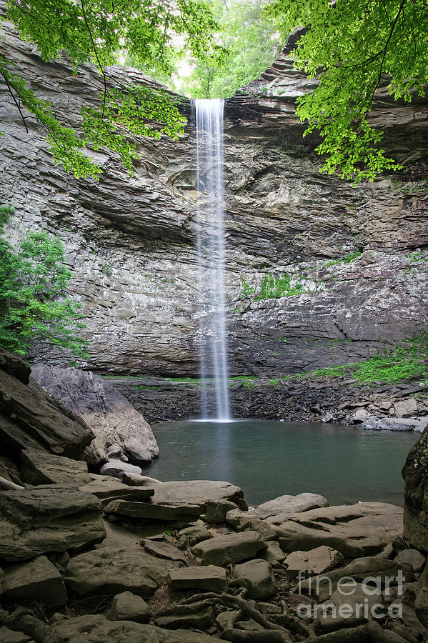 Ozone Falls 40 Photograph by Phil Perkins