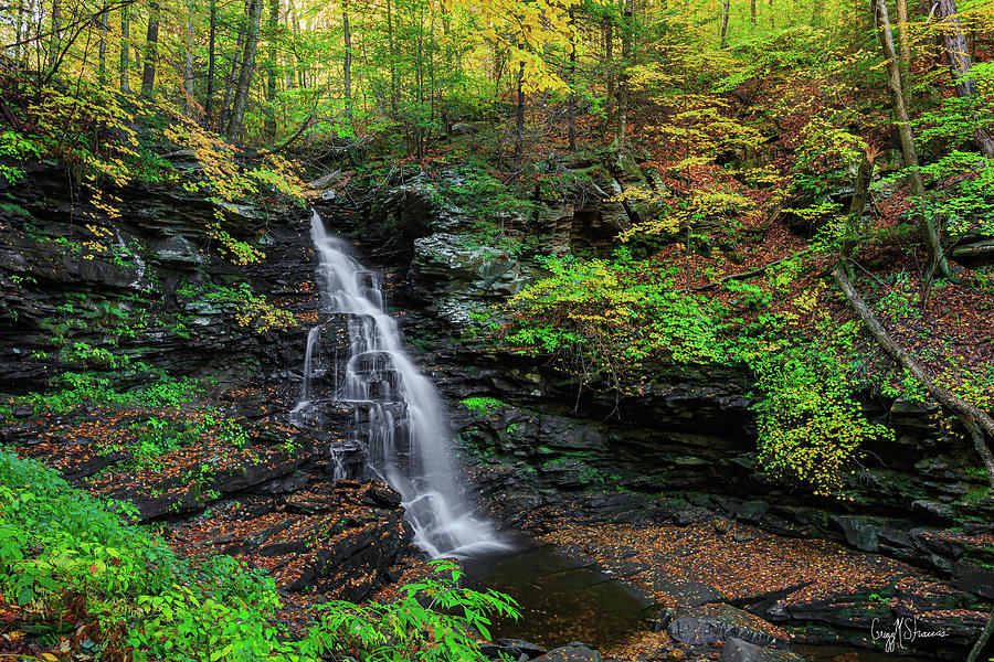 Ozone Falls Foliage Photograph by Gregg Strauss - Pixels