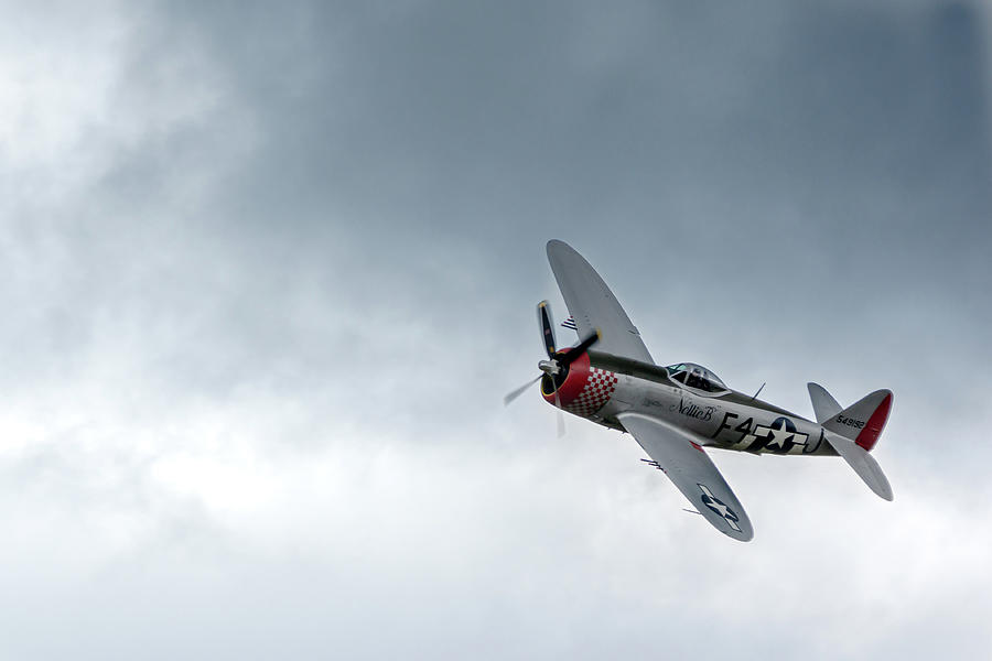 P-47D Thunderbolt Nellie B at The Victory Show Photograph by Scott Lyons