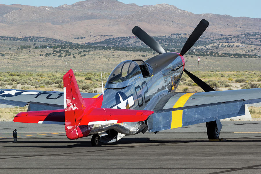 P-51 Mustang Bunny Photograph by Rick Pisio