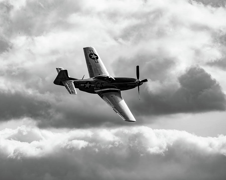 P-51 Mustang BW Photograph by Flees Photos
