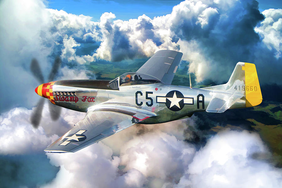P-51 Mustang Fighter Painting by Christopher Arndt