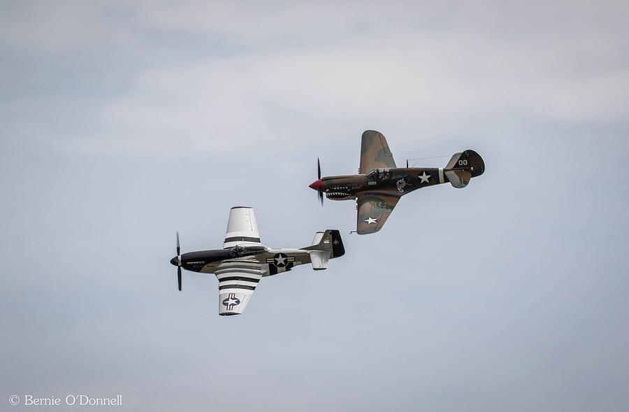 P-51 Mustang/ P-40 Flying Tiger Photograph by Bernie O'Donnell - Pixels