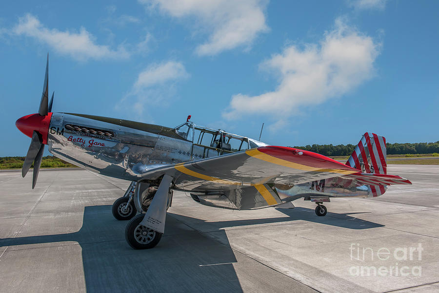 P-51C Mustang Fighter - Betty Jane - Legendary Fighter Photograph by Dale Powell