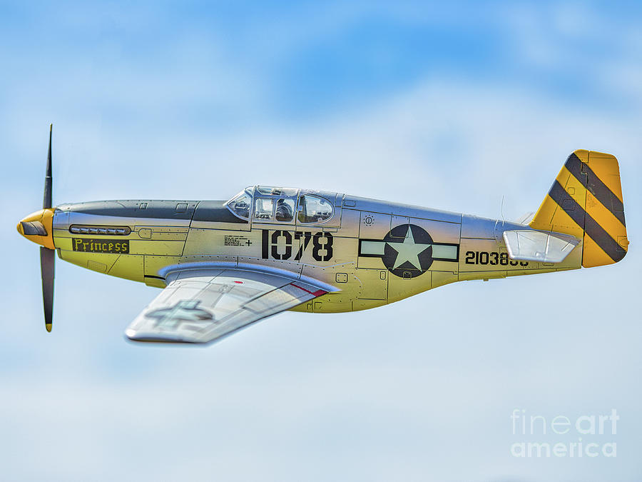 P-51C Mustang Scale Model Flight Digital Art by Randy Steele