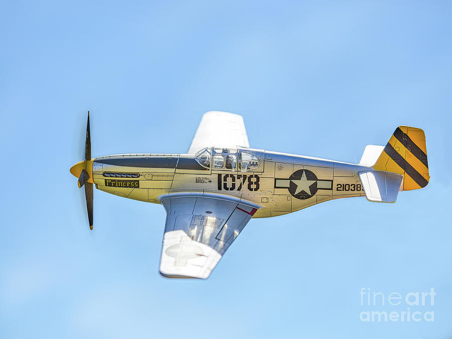 P-51C Mustang Scale Model Flight Two Photograph by Randy Steele