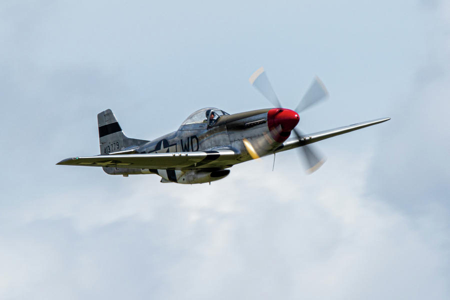 P-51D Mustang Photograph by Airpower Art
