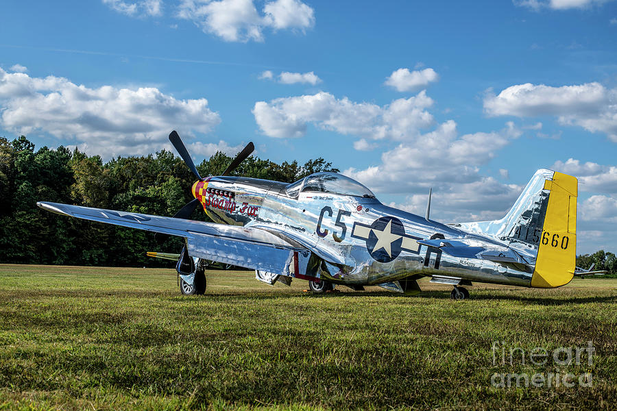 P-51D Swamp Fox Photograph by Kevin Jacot | Fine Art America