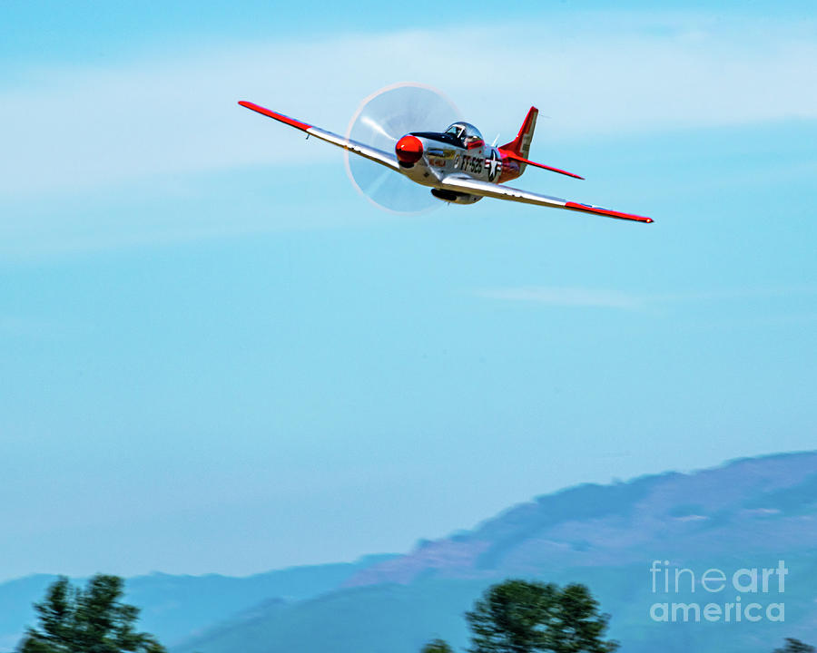 P-51d Val-halla Ripping Low Thru Skagit Blue Skies Photograph