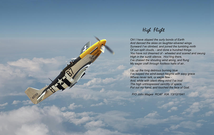 P51 - High Flight Digital Art by Pat Speirs