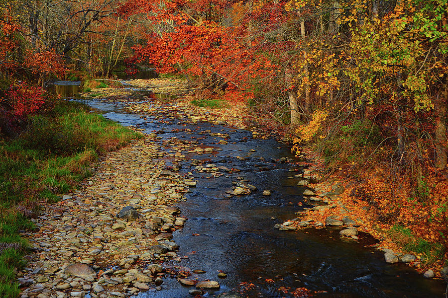 PA Autumn River Photograph by Raymond Salani III