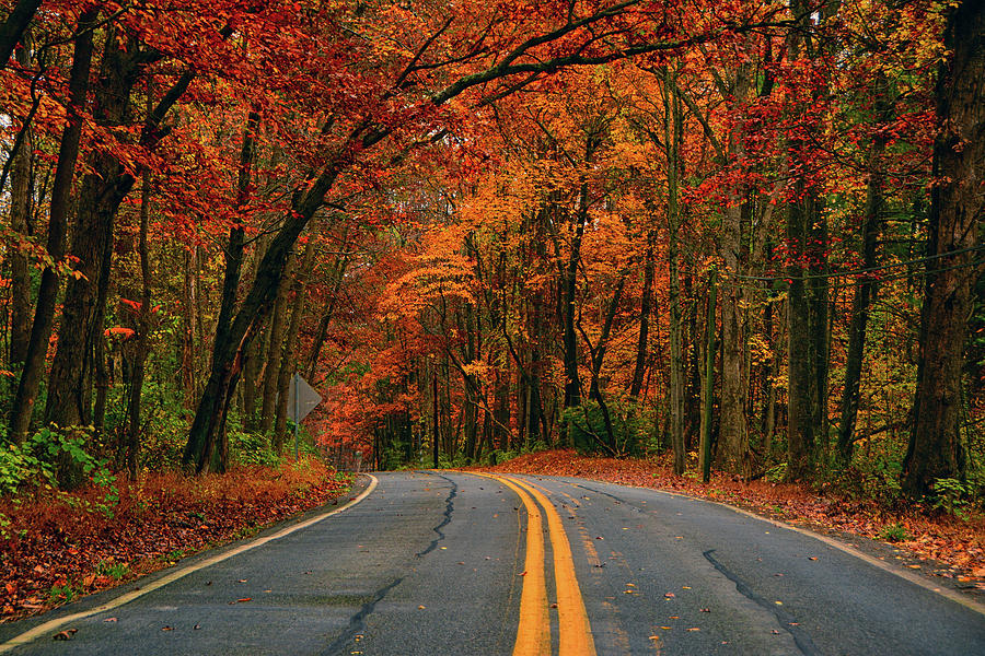 PA Autumn Road Photograph by Raymond Salani III