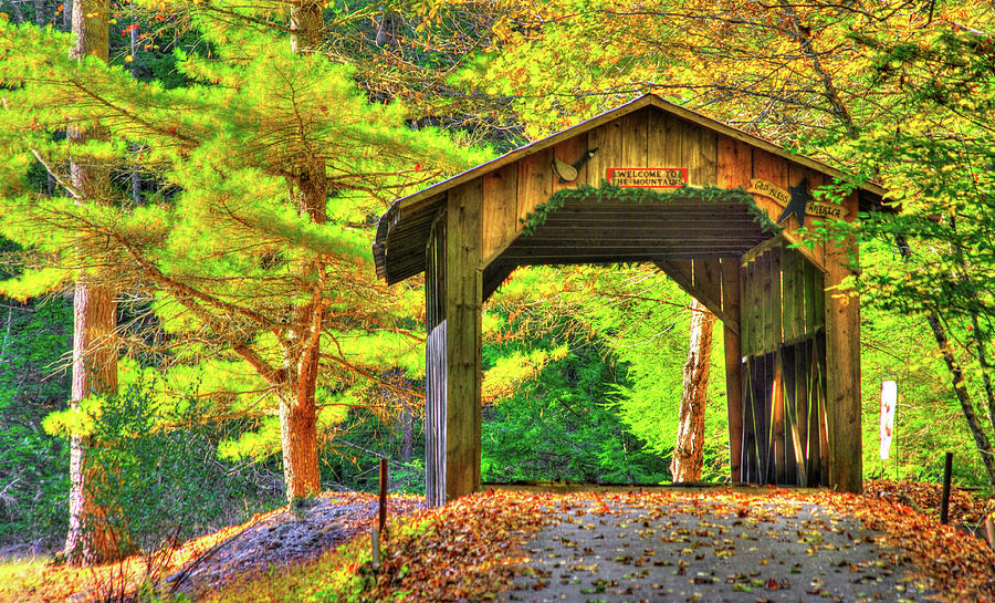 PA Country Roads - James S. Fink Covered Bridge Over Larrys Creek - Autumn, Lycoming County Photograph by Michael Mazaika