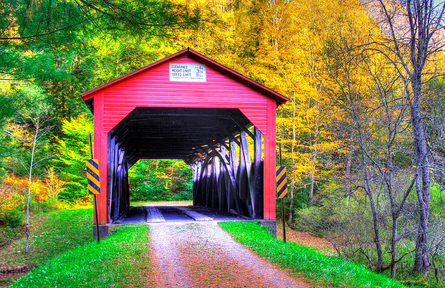 PA Covered Bridges - Buckhorn Covered Bridge Over Larrys Creek No. 1A - Lycoming County Photograph by Michael Mazaika