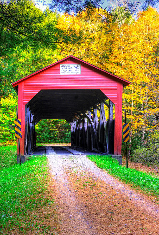 PA Covered Bridges - Buckhorn Covered Bridge Over Larrys Creek No. 2A - Lycoming County Photograph by Michael Mazaika