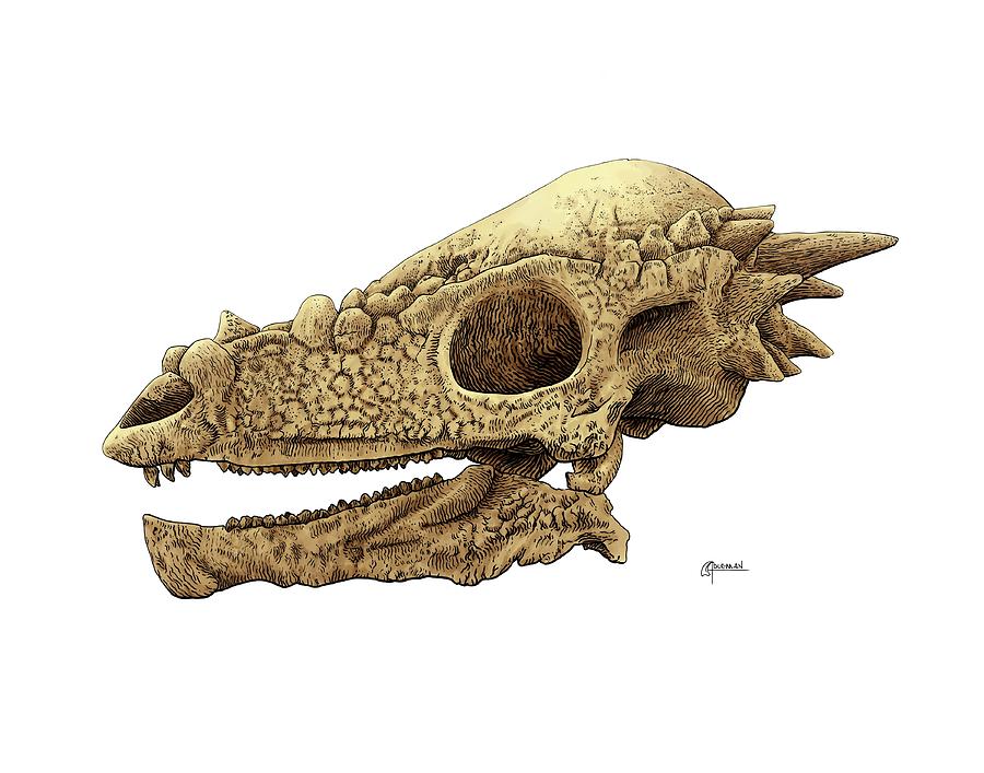 Pachycephalosaurus Digital Art by Rick Adleman