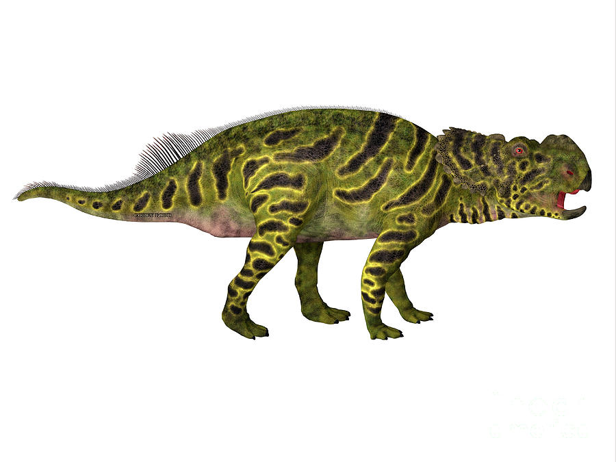 Pachyrhinosaurus Juvenile Dinosaur Digital Art