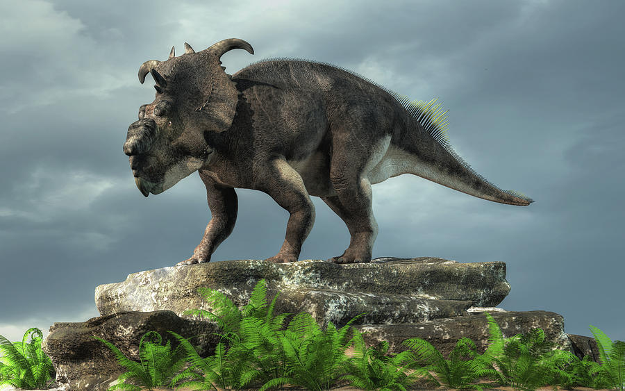 Pachyrhinosaurus on a Rock Digital Art by Daniel Eskridge