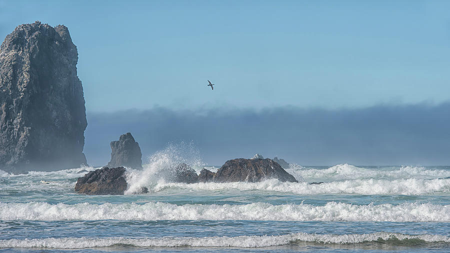 Pacific Beach Photograph by CR Courson