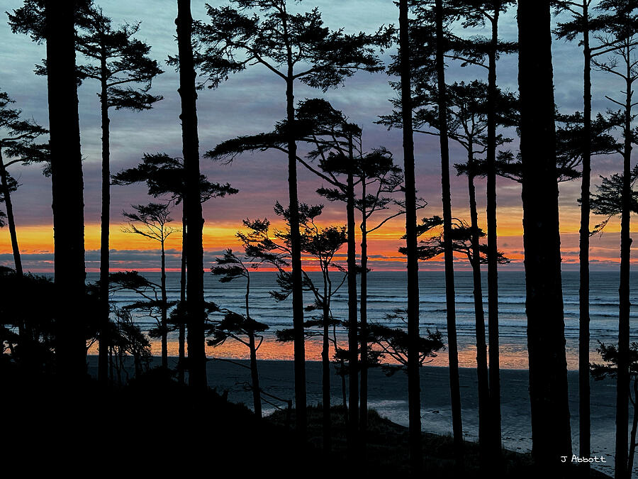 Amazing Pacific Beach Sunset Silhouette Photograph by Jerry Abbott Amazing Pacific Beach Sunset Silhouette Photograph by Jerry Abbott