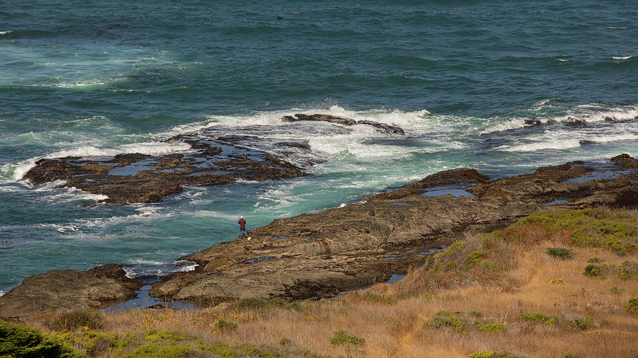 Fishing on The Pacific Coastline Photograph by Nicholas McCabe