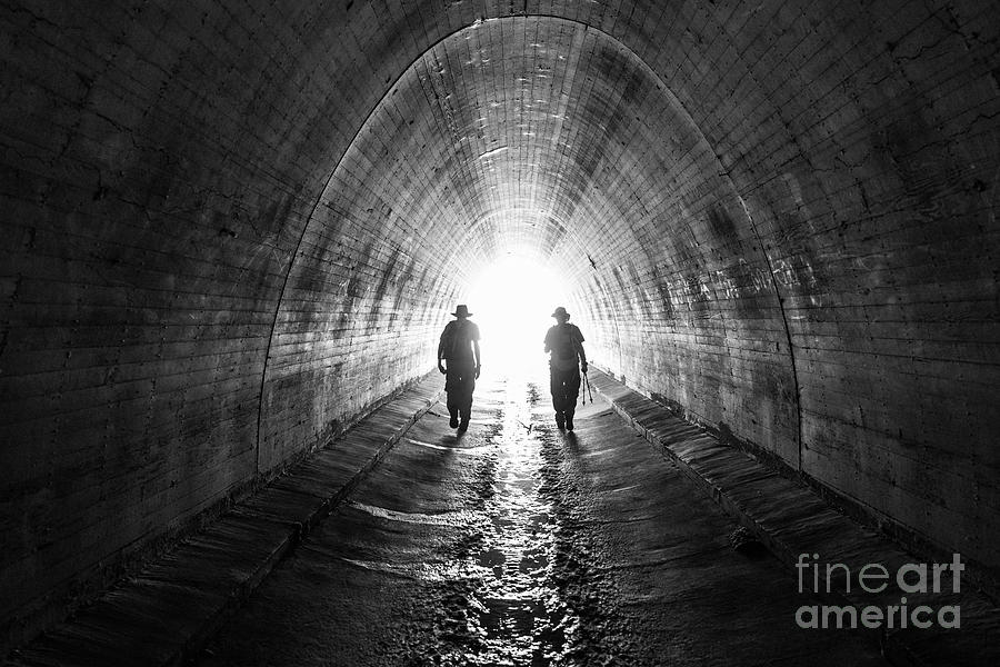 Black And White Photograph - Pacific Crest Trail Tunnel by Trekkerimages Photography