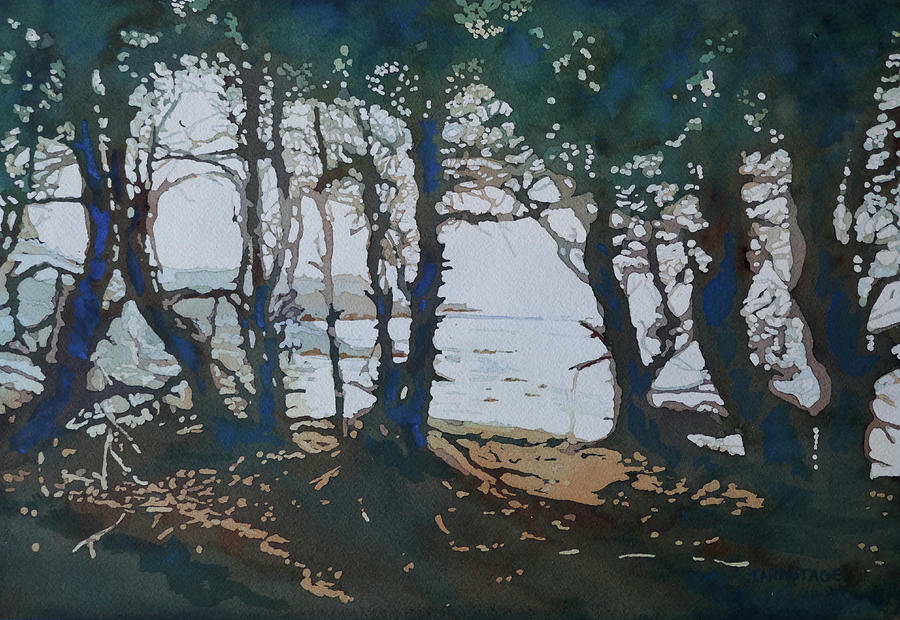 Tree Painting - Pacific Grove by Jenny Armitage