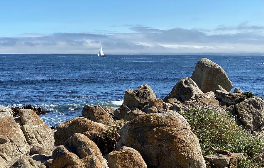 Pacific Grove on a Perfect Day Photograph by Gerald Carpenter