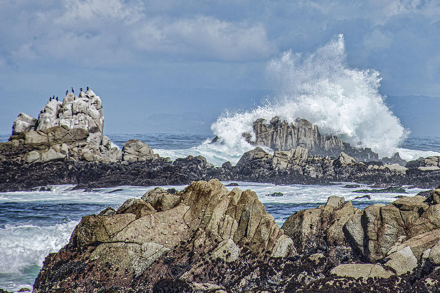 Pacific Grove Surf 2018 Photograph by Jim Pavelle