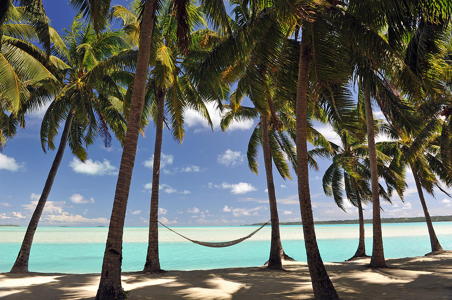 Pacific Island hammock Photograph by Oversnap